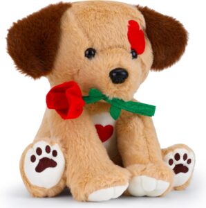 puppet rose Affordable Valentine’s Day Gifts for Her / wife / Girlfriend