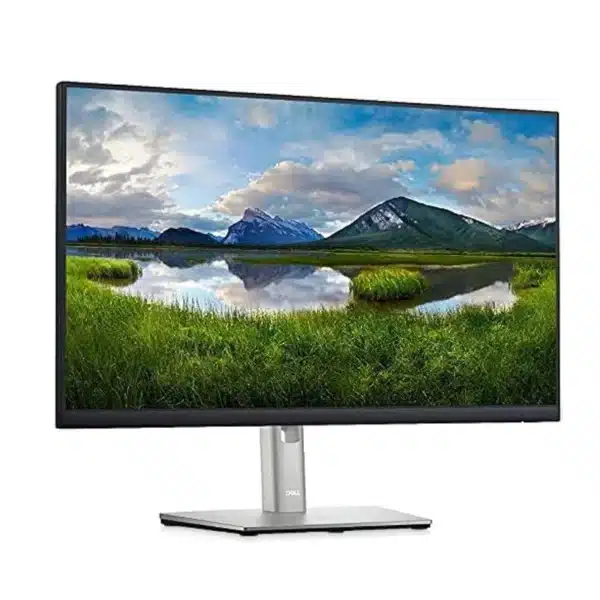 Écran Moniteur Dell 24 Pouces